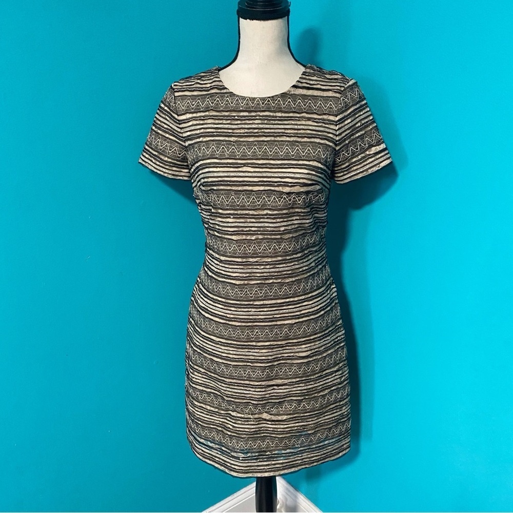 Black Saks Fifth Avenue 4 Black Cream Lace Embroidered Short Sleeve Dress